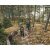 Robens Wanderstock Coniston T7