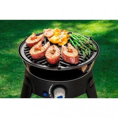 Grillen Sie Fleisch, Fisch und Gemüse während Ihres Campingurlaubs.