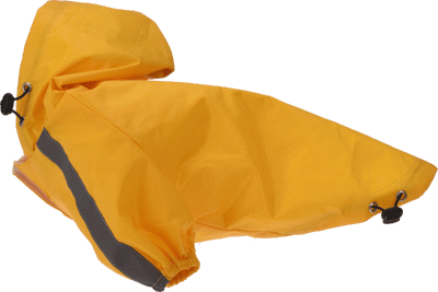 Regnjacka för den mindre hunden - perfekt för blöta dagar på campingen!